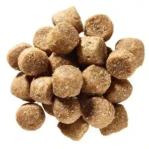 Die beste Bio-Trockenfutter Hund 2026 Test Bestseller Bio-Trockenfutter Hund