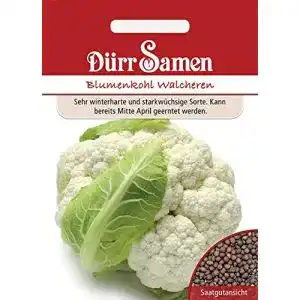 Blumenkohl-Samen Dürr-Samen Blumenkohl, winterhart