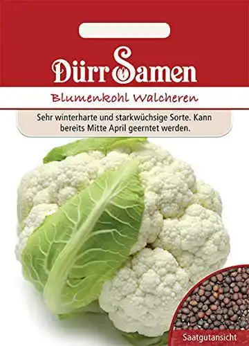 Blumenkohl-Samen Dürr-Samen Blumenkohl, winterhart
