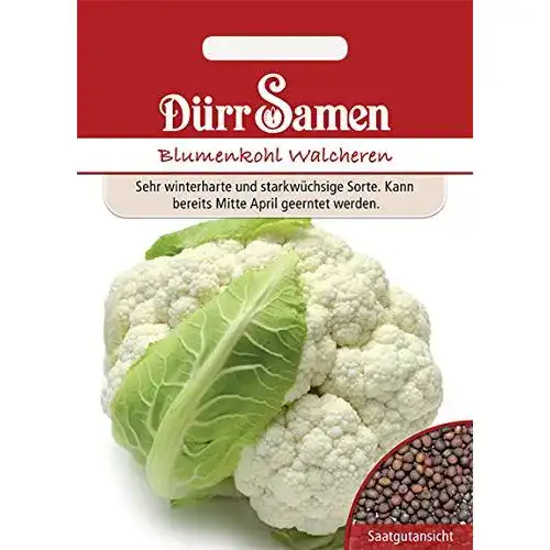 Blumenkohl-Samen Dürr-Samen Blumenkohl, winterhart