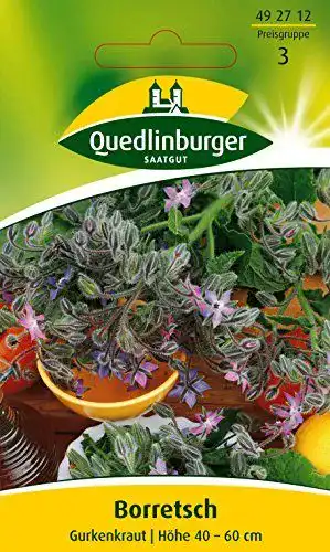 Borretsch-Samen Quedlinburger Borretsch, Gurkenkraut, 1 Tüte