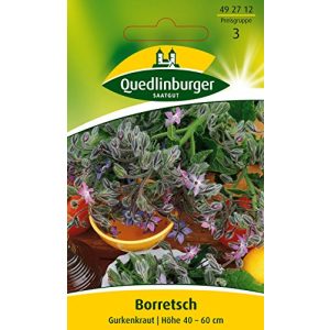 Borretsch-Samen Quedlinburger Borretsch, Gurkenkraut, 1 Tüte