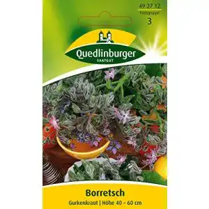 Borretsch-Samen Quedlinburger Borretsch, Gurkenkraut, 1 Tüte