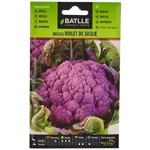 Brokkoli-Samen Batlle Gemüsesamen, Brokkoli Violett Sicile