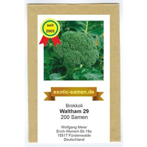 Brokkoli-Samen exotic-samen Broccoli winterhart 29-200 Samen