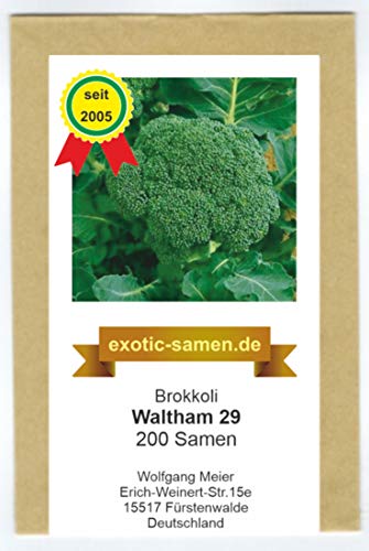 Die beste brokkoli samen exotic samen broccoli winterhart 29 200 samen Bestsleller kaufen