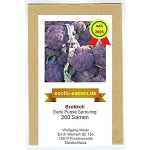 Brokkoli-Samen exotic-samen Early Purple Sprouting, 200 Samen