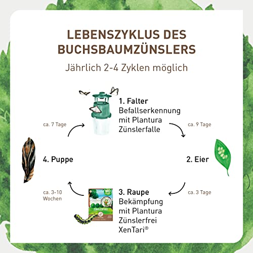 Buchsbaumzünsler-Falle Plantura Zünslerfalle, insektizidfrei