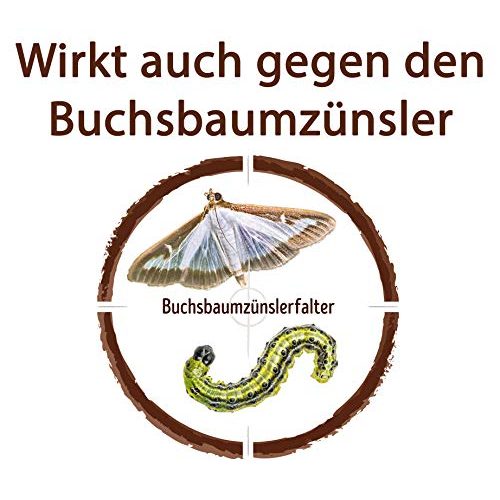 Buchsbaumzünsler-Spritzmittel Celaflor Substral Schädlingsfrei