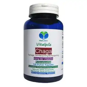 Chaga VitalLeben /Ts Birken ANTIOXIDANTIEN Vitalpilz 120 Kaps.