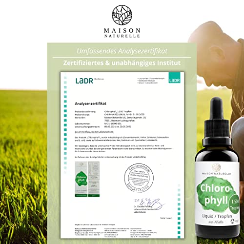Chlorophyll-Tropfen Maison Naturelle ® Chlorophyll flüssig 50 ml