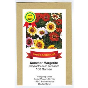 Chrysanthemen-Samen exotic-samen Chrysanthemum carinatum
