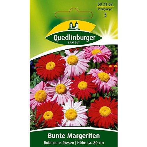 Die beste chrysanthemen samen quedlinburger bunt robinsons riesen Bestsleller kaufen