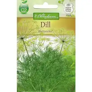 Dill-Samen