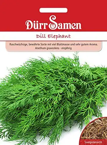 Dill-Samen Dürr-Samen Dill Elephant Elefant, ca. 1750 Samen
