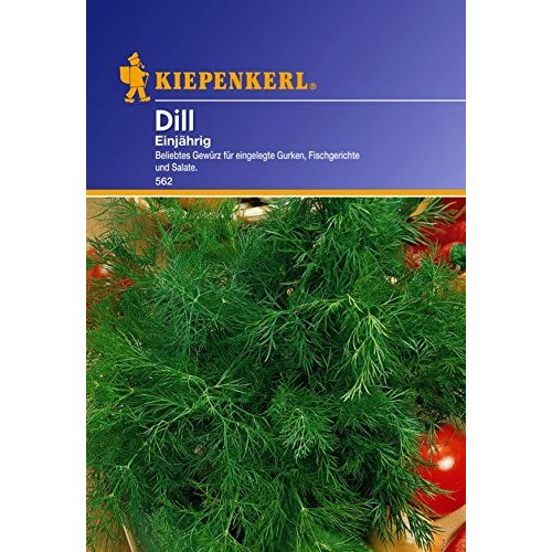 Dill-Samen Kiepenkerl, Dill Einjährig