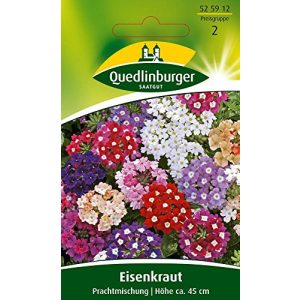 Eisenkraut-Samen Quedlinburger Saatgut, Prachtmischung Samen