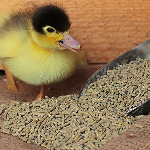 Entenfutter DuckGold Enten- und Gänse Kükenkorn 2,5kg