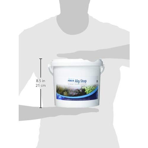 Fadenalgenvernichter AquaForte Alg-Stop Anti-, 5 kg, Pulver