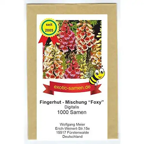 Fingerhut-Samen exotic-samen Digitalis, Fingerhut, zweijährig