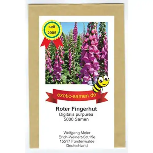Fingerhut-Samen exotic-samen Roter Fingerhut, 5000 Samen
