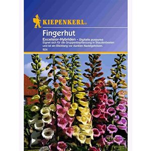 Fingerhut-Samen Kiepenkerl, Blumen-Saatgut Digitalis purpurea