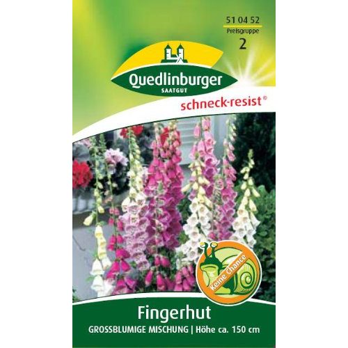 Die beste fingerhut samen quedlinburger fingerhut grossblumige mischung Bestsleller kaufen