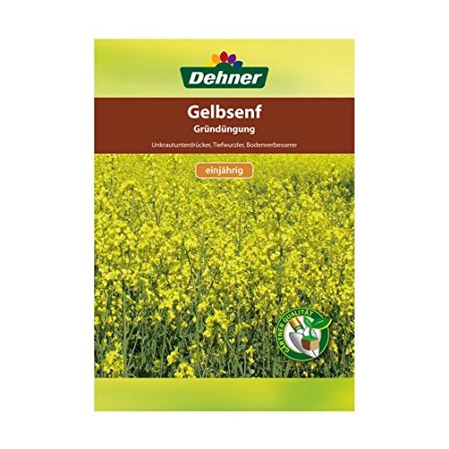 Gelbsenf Dehner Saatgut, Gründüngung, 500 g, für ca. 100 qm