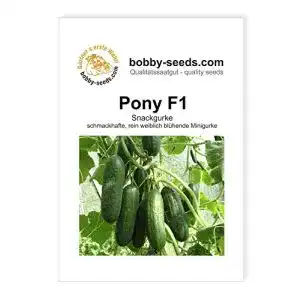Gurken-Samen Gärtner’s erste Wahl! bobby-seeds.com Pony F1