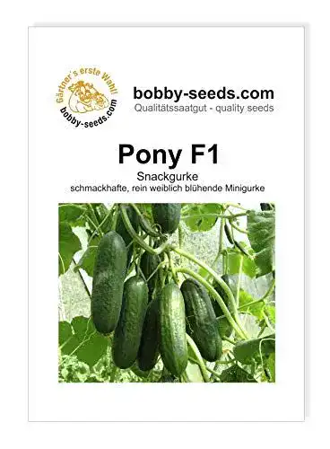Gurken-Samen Gärtner’s erste Wahl! bobby-seeds.com Pony F1