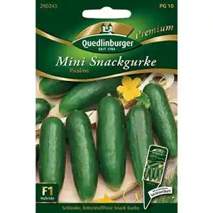 Gurken-Samen Quedlinburger Snack-Gurke ‘Picolino’ F1, 1 Tüte