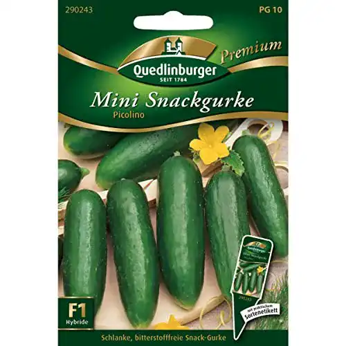 Gurken-Samen Quedlinburger Snack-Gurke ‘Picolino’ F1, 1 Tüte
