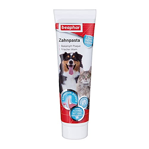 Hundezahnpasta beaphar Zahnpasta für Hunde und Katzen 100 g