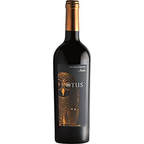 Italienischer Rotwein Mondo del Vino VINELLO 6er Rotweinpaket