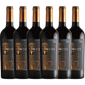 Italienischer Rotwein Mondo del Vino VINELLO 6er Rotweinpaket