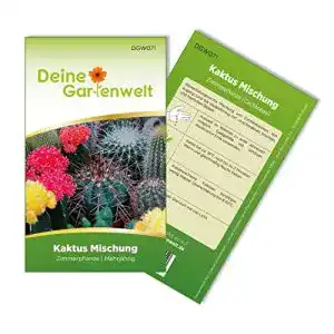 Kakteen-Samen Deine Gartenwelt Kaktus Mischung Samen