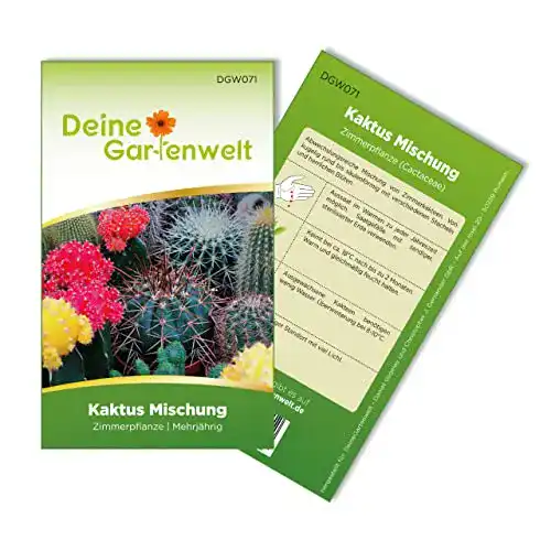 Kakteen-Samen Deine Gartenwelt Kaktus Mischung Samen