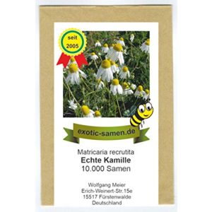 Kamille-Samen exotic-samen Echte Kamille, 10.000 Samen