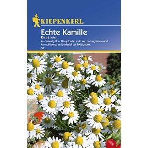Kamille-Samen Kiepenkerl Kamille Einjährig Echte