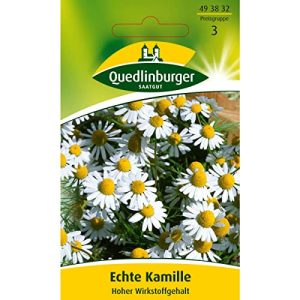 Kamille-Samen Quedlinburger Echte Kamille Hoher Wirkstoffgehalt