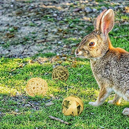 Kaninchen-Spielzeug LADAMI 9 Stück Kaubälle, Kleintiere