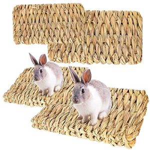 Kaninchen-Spielzeug RoadLoo Kleine Haustier-Grasmatte, 4 Stück