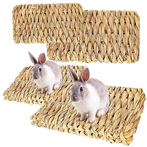 Die beste kaninchen spielzeug roadloo kleine haustier grasmatte 4 stueck Bestsleller kaufen