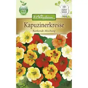 Kapuzinerkresse-Samen