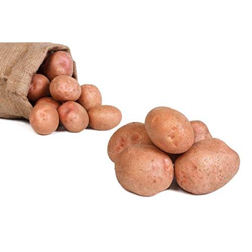 Die beste kartoffeln fruchtversand24 laura speise 25kg Bestsleller kaufen