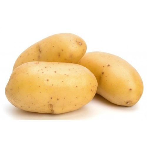 Kartoffeln weg-ist-weg-com Premium Speisekartoffel Belana 25 kg