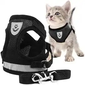 Die beste Katzengeschirr Kitten 2026 Test Bestseller Katzengeschirr Kitten