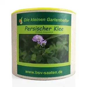 Kleesamen