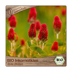 Kleesamen Samenliebe BIO Inkarnatklee Rote Blüten, 1000 Samen