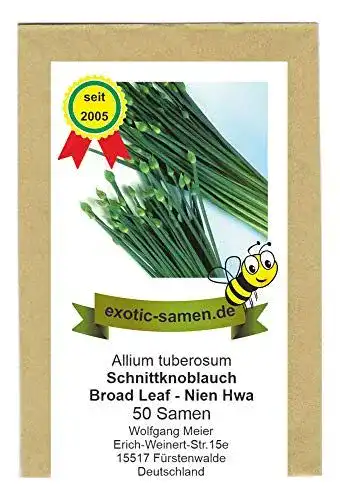 Knoblauch-Samen exotic-samen Schnittknoblauch, 50 Samen